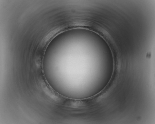 X0000113260833200909171647