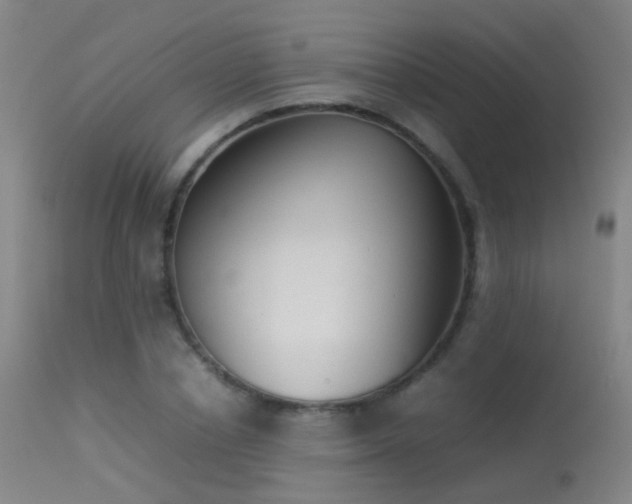 X0000113260834200909171647