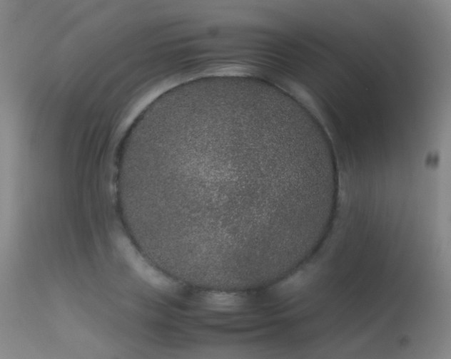 X0000113260835200909171647