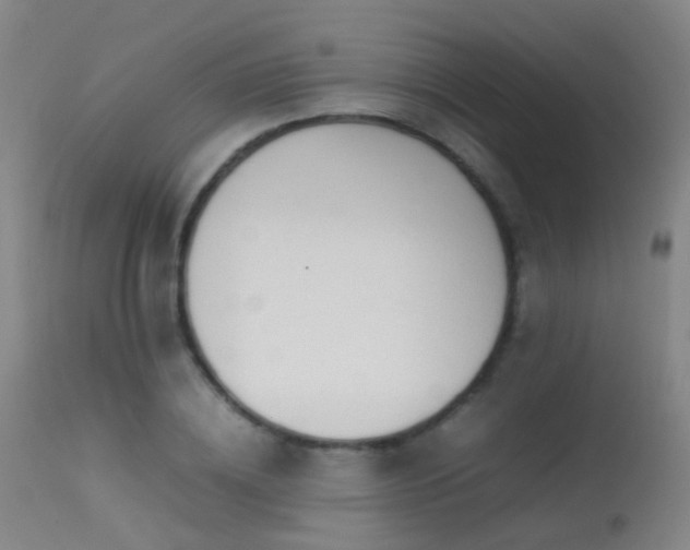 X0000113260836200909171647