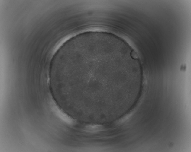 X0000113260837200909171647