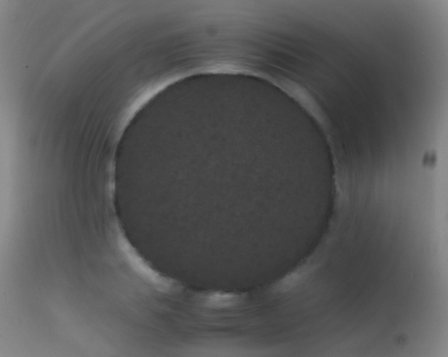 X0000113260839200909171647