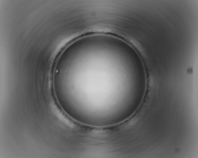 X0000113260840200909171647