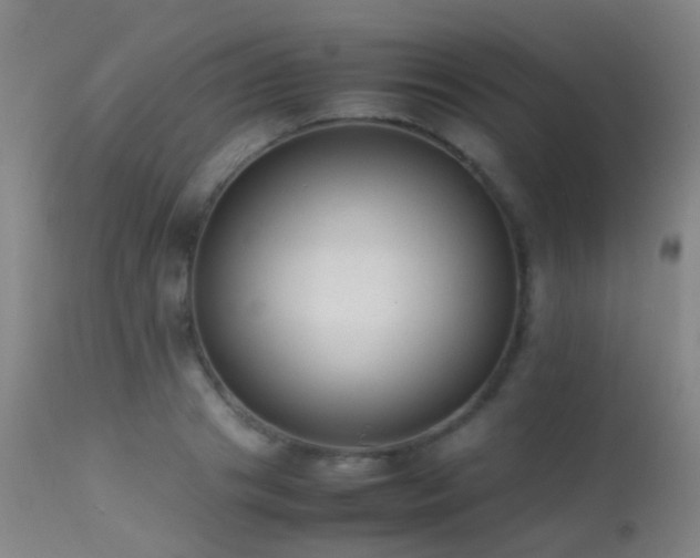 X0000113260841200909171647