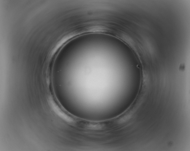 X0000113260843200909171647