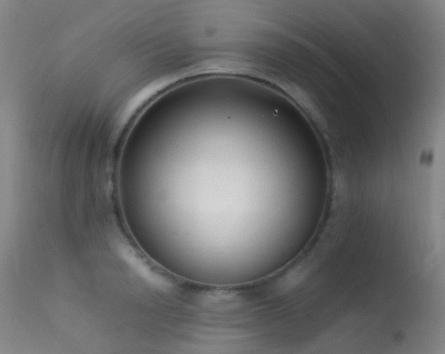 X0000113260846200909171648