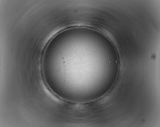 X0000113260847200909171648