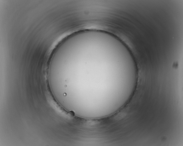 X0000113260848200909171648