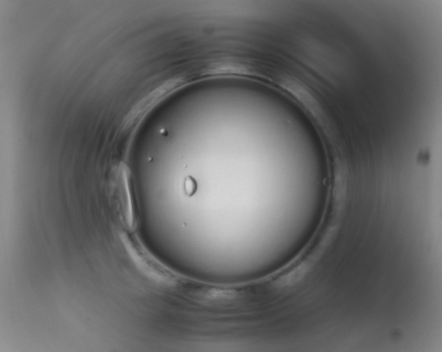 X0000113260849200909171648