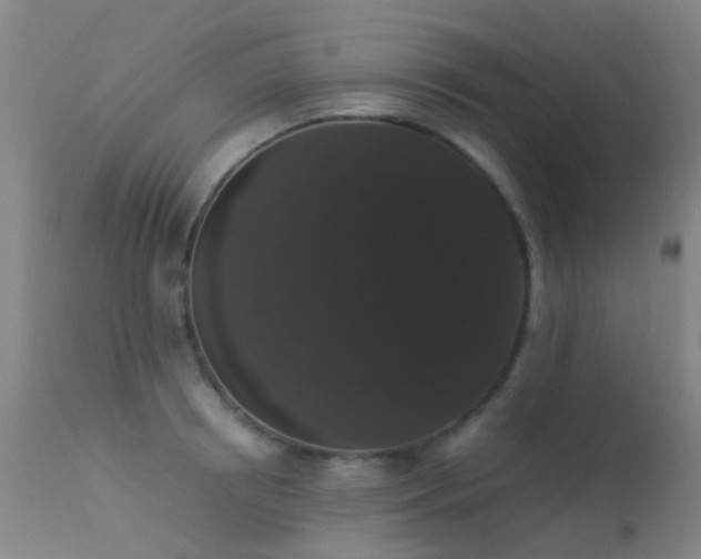 X0000113260850200909171648