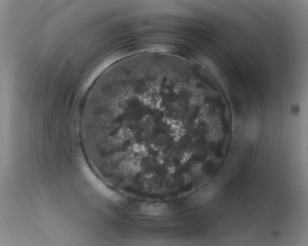 X0000113260851200909171648