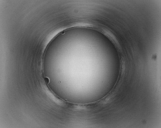 X0000113260852200909171648