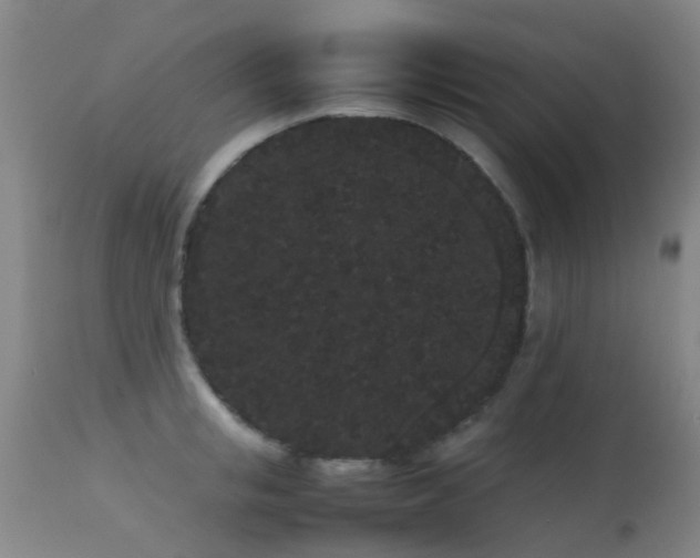 X0000113260853200909171648