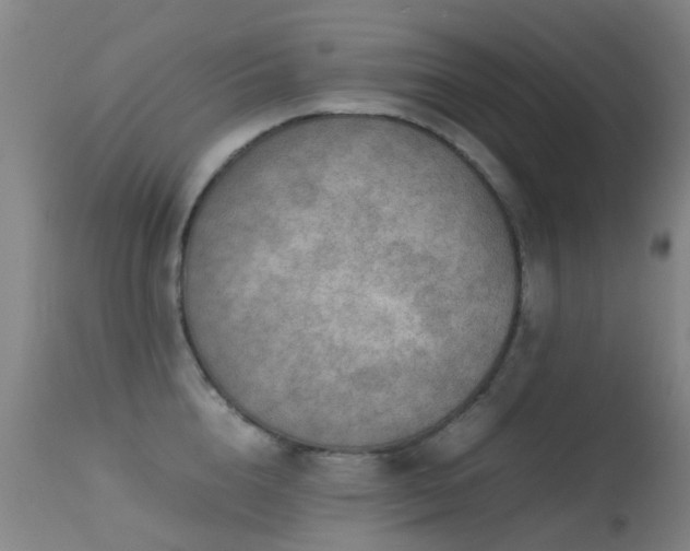 X0000113260856200909171648