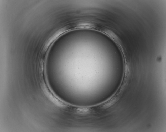 X0000113260859200909171648