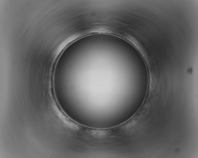 X0000113260861200909171648