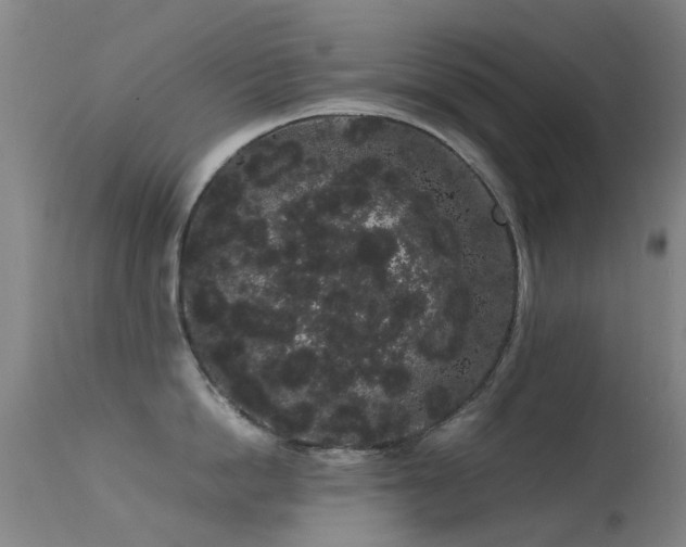 X0000113260862200909171648