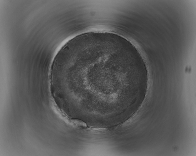 X0000113260864200909171648