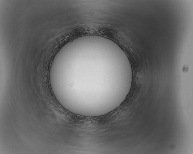 X0000113260865200909171647