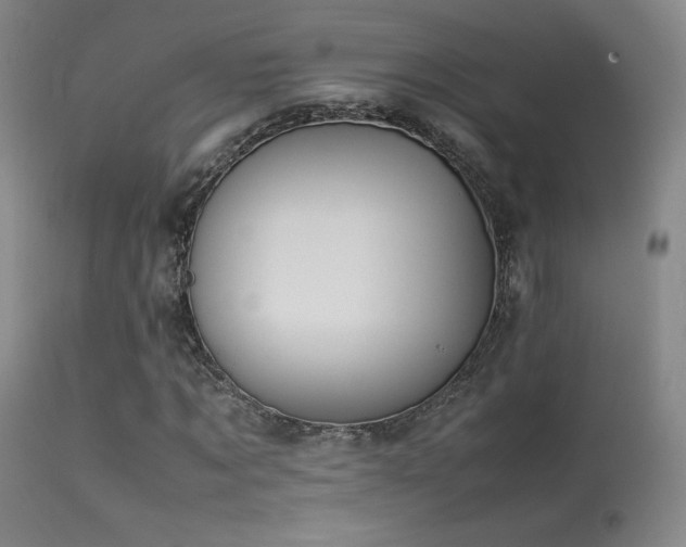 X0000113260869200909171647