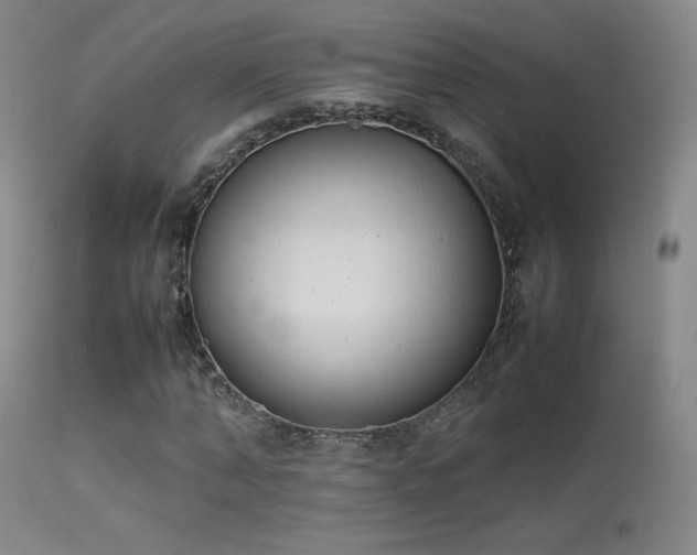 X0000113260870200909171647