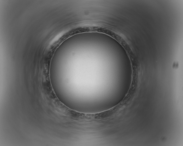 X0000113260871200909171647