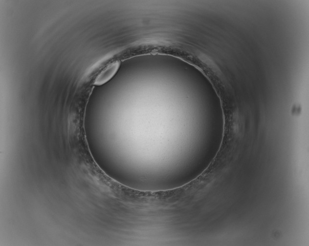 X0000113260872200909171647