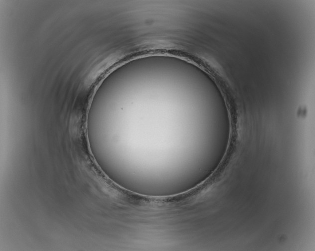 X0000113260873200909171647