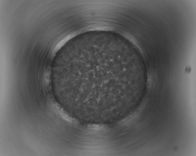 X0000113260874200909171647