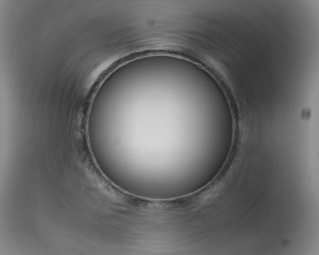 X0000113260875200909171647