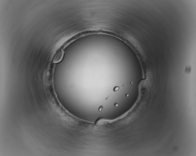 X0000113260876200909171647