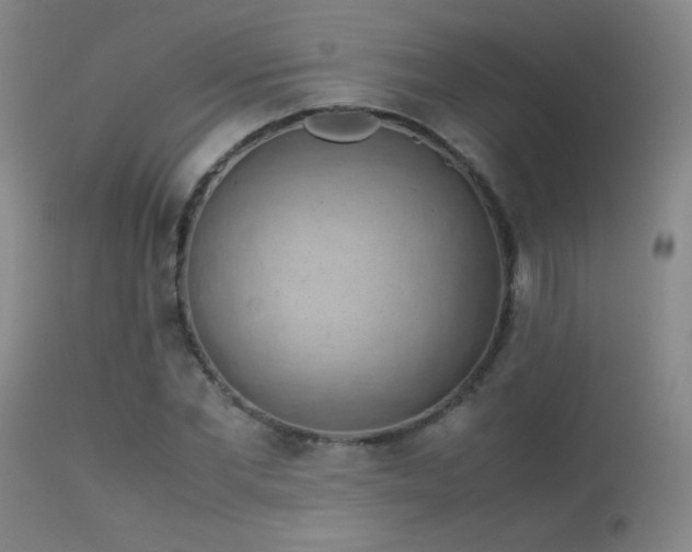 X0000113260877200909171647