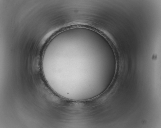 X0000113260878200909171647