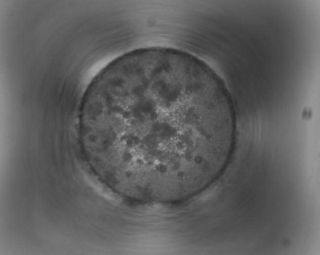 X0000113260879200909171647