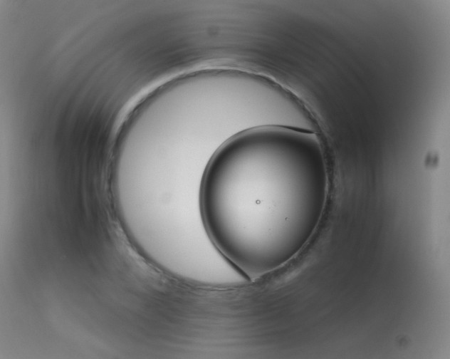 X0000113260880200909171647