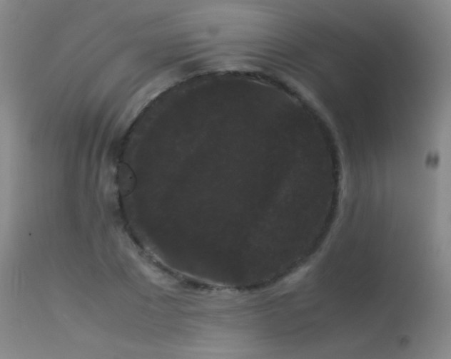 X0000113260881200909171647