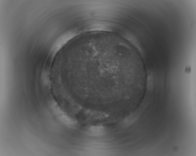 X0000113260882200909171647