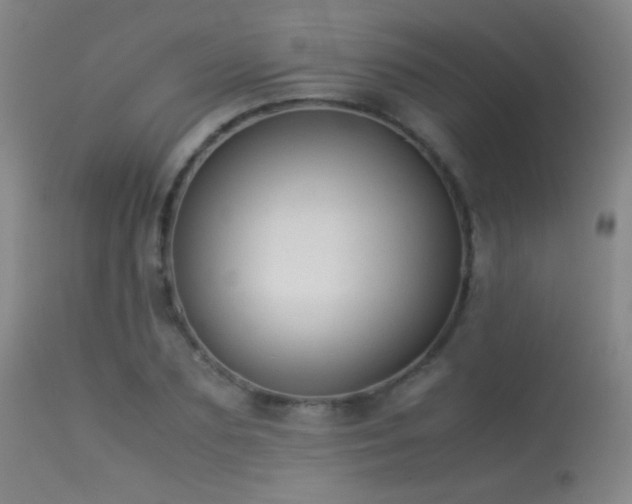 X0000113260883200909171647