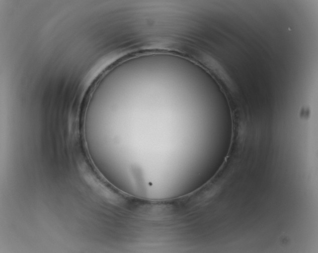 X0000113260884200909171647