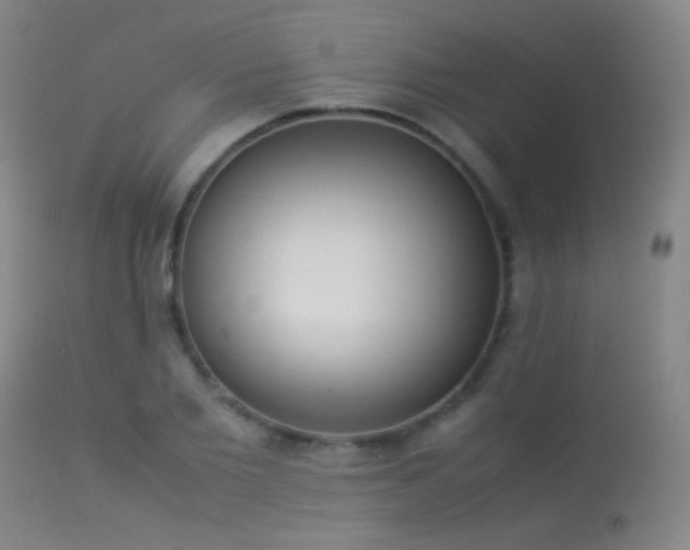 X0000113260885200909171647