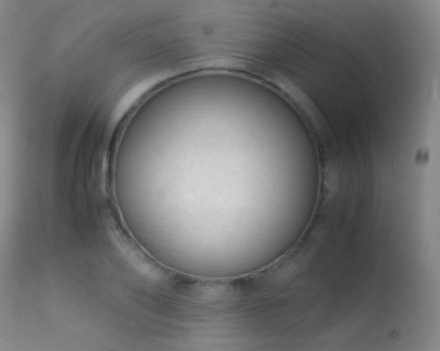 X0000113260886200909171647