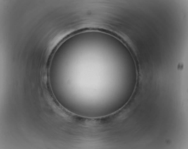 X0000113260887200909171647