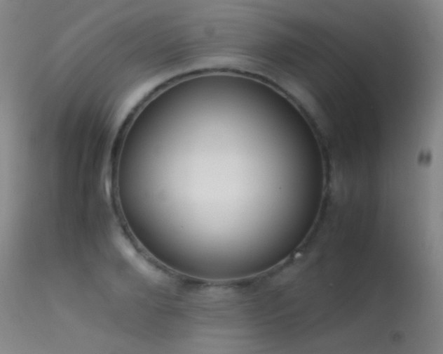 X0000113260888200909171647