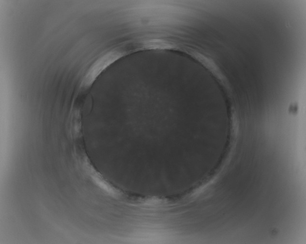 X0000113260889200909171647