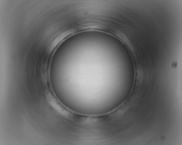 X0000113260890200909171647