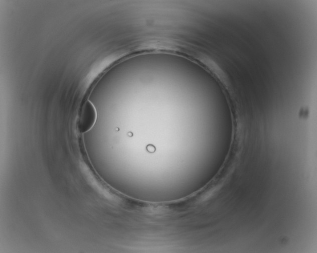 X0000113260893200909171647