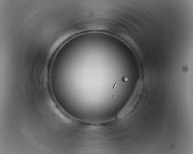 X0000113260894200909171647