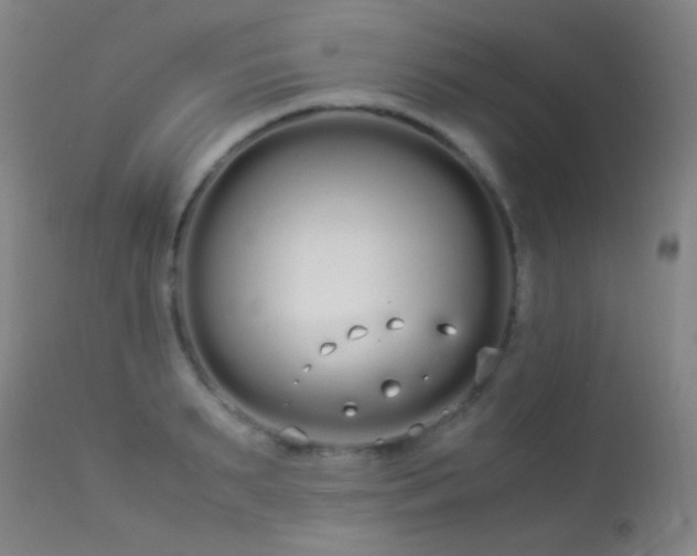 X0000113260895200909171647