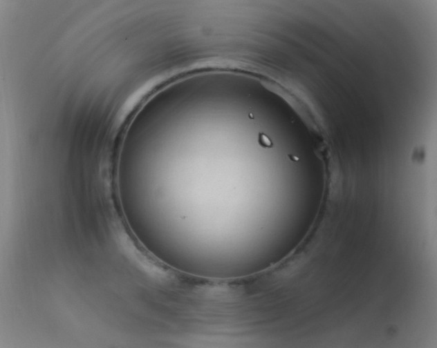 X0000113260896200909171647