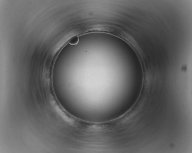 X0000113260898200909171647